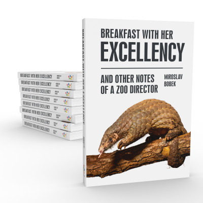 Breakfast with Her Excellency and Other Notes of a Zoo Director 