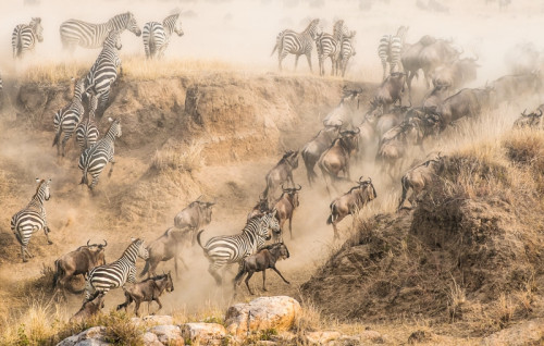 Fotokurz v Zoo Praha