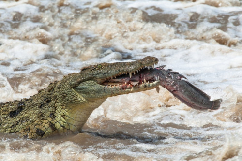 Fotokurz v Zoo Praha