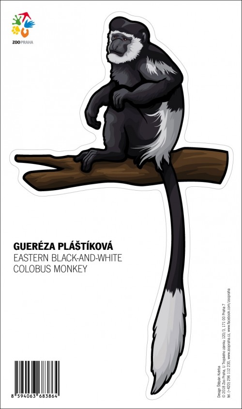 Samolepka – Gueréza pláštíková
