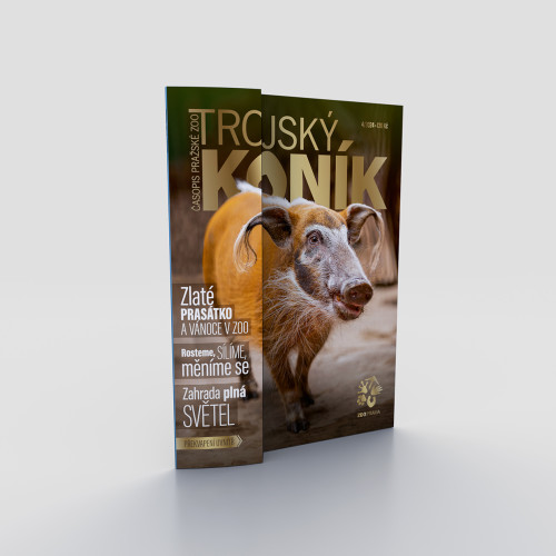 Trojský koník - Proměny a dospívání