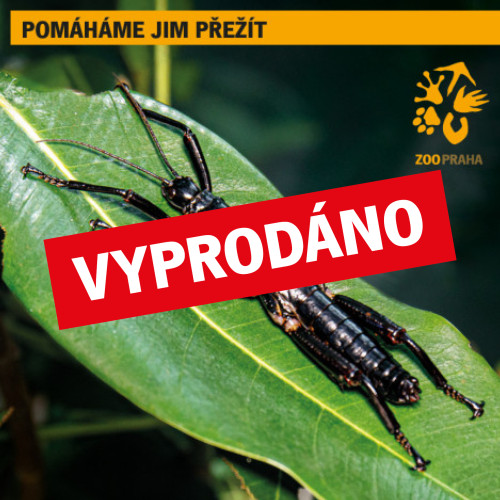 Poznejte strašilky humří