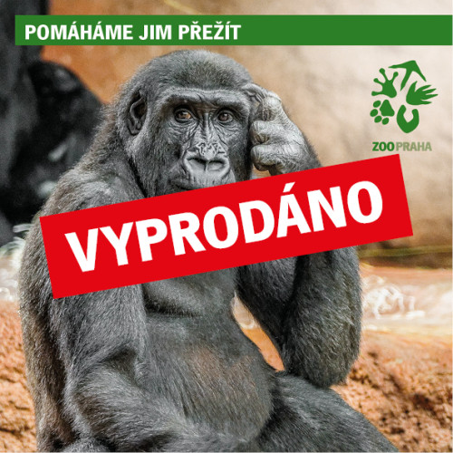 Na návštěvě u goril