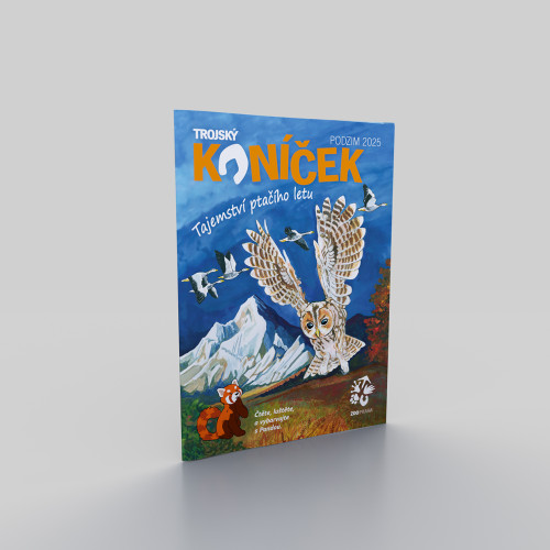 Trojský koníček - Tajemství ptačího letu