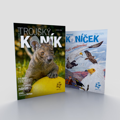 Balíček Trojský koník + Trojský koníček 4/25