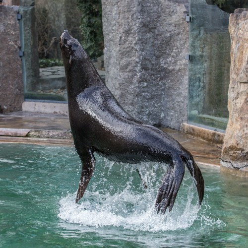 Fotokurz v Zoo Praha