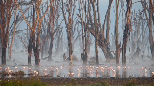 Fotokurz v Zoo Praha