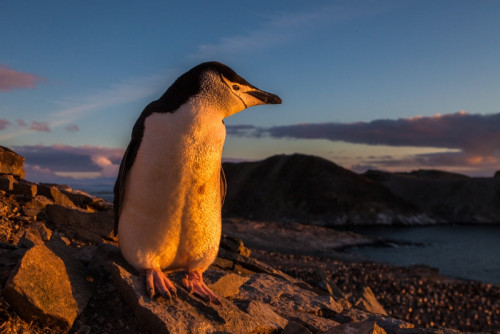 Fotokurz v Zoo Praha