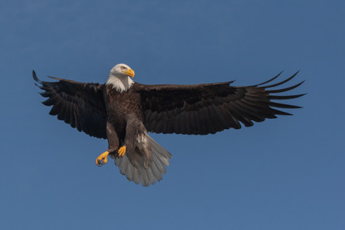 Fotokurz v Zoo Praha