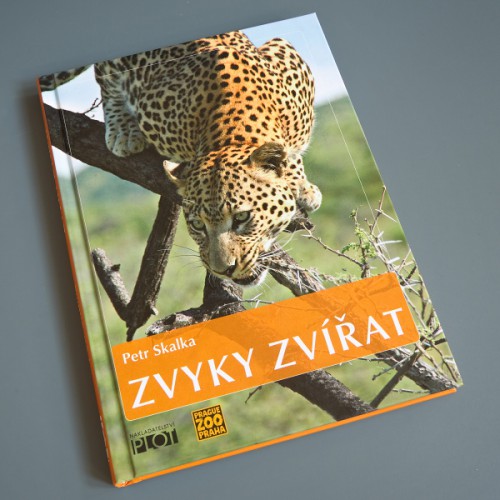 Zvyky zvířat 