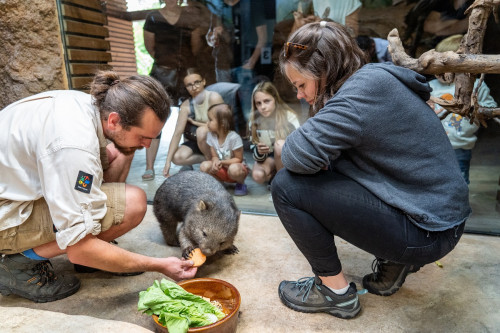 Chovatelem na půl den v Darwinově kráteru