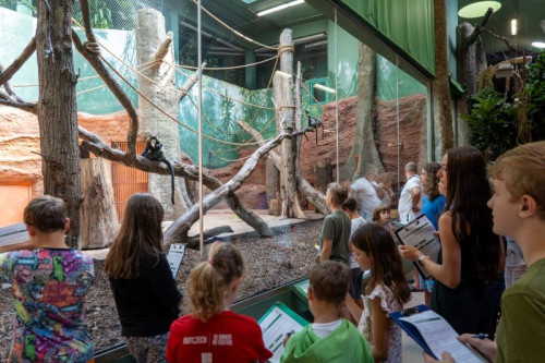 Denní prohlídka s průvodcem