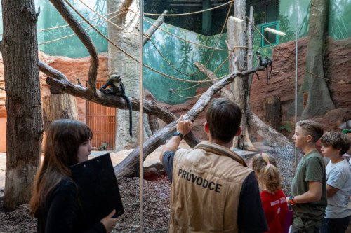 Denní prohlídka s průvodcem