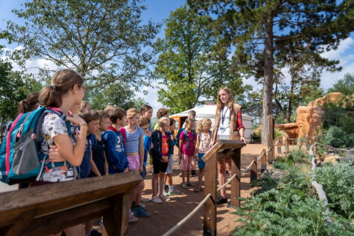 Denní prohlídka s průvodcem