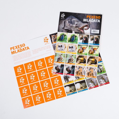 Pexeso mláďata 