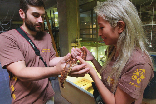 Chovatelem na jeden den u plazů