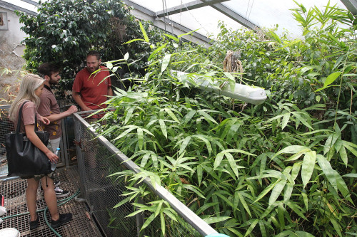 Chovatelem na jeden den u plazů