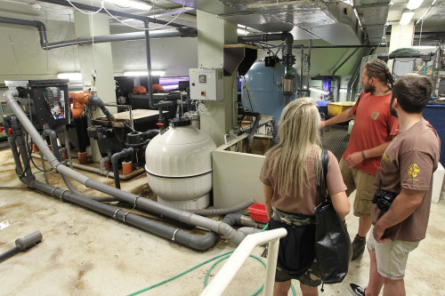 Chovatelem na jeden den u plazů