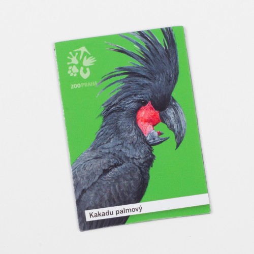 Magnetka s motivem papouška – kakadu palmový
