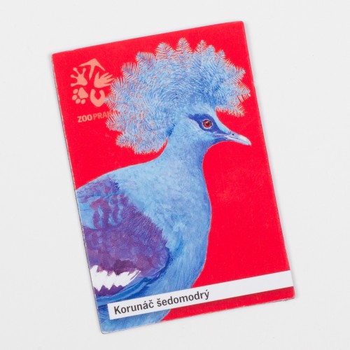 Magnetka s motivem exotického ptáka – korunáč šedomodrý