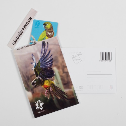 Dárková pohlednice Zoo Praha – papoušek patagonský