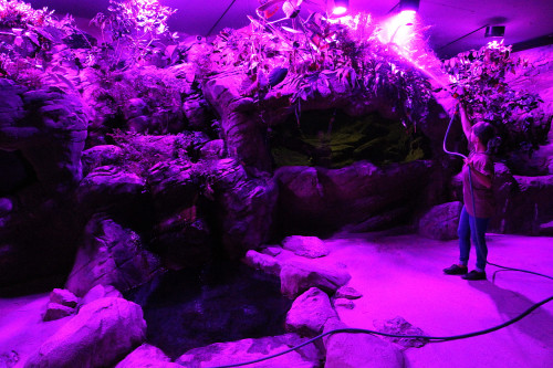 Chovatelem na jeden den u plazů