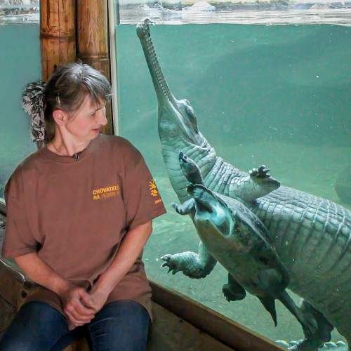 Chovatelem na jeden den u plazů