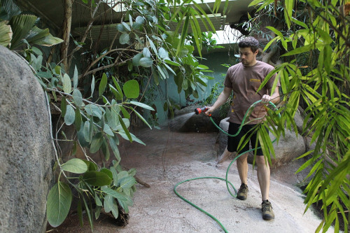 Chovatelem na jeden den u plazů