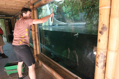 Chovatelem na jeden den u plazů