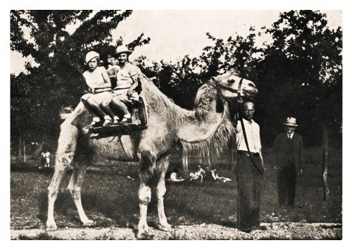 Leporelo 85. výročí 