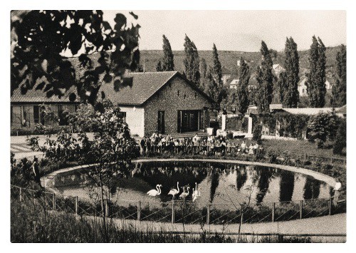Leporelo 85. výročí 