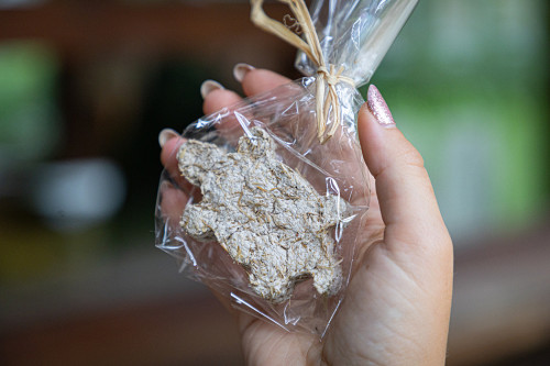 Workshop "Od trusu k papíru"