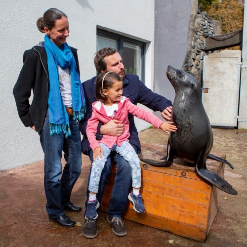 Setkání s lachtany