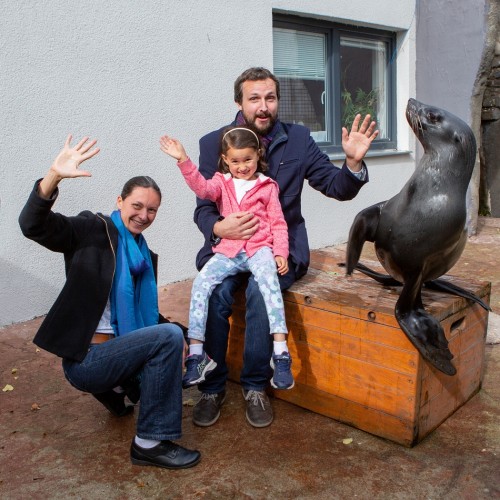 Setkání s lachtany