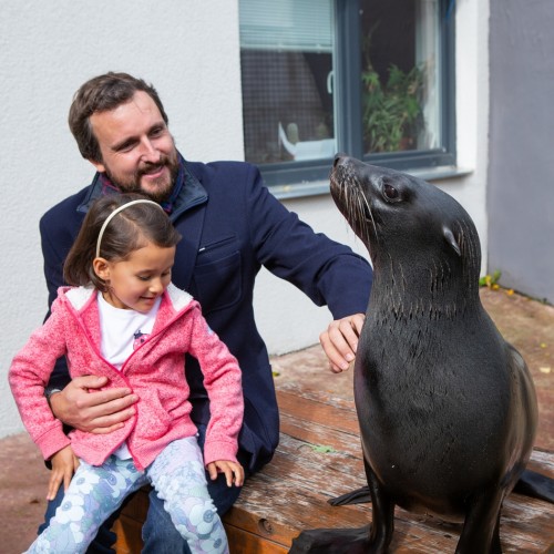 Setkání s lachtany