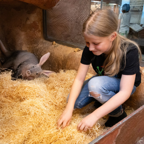 Chovatelem na den JUNIOR v Africkém domě