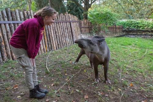 Chovatelem na jeden den u kopytníků