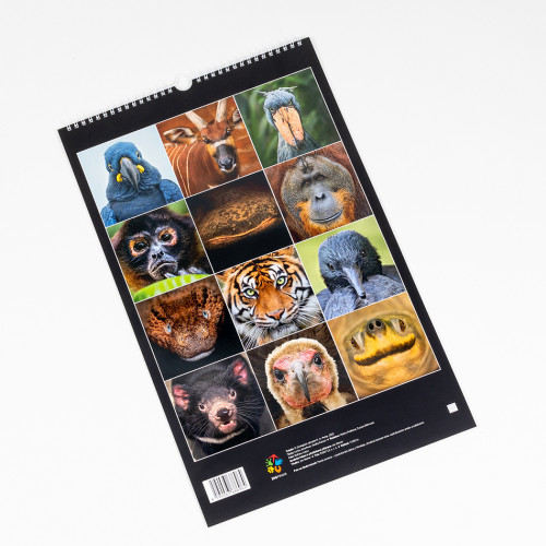 Nástěnný kalendář Zoo Praha 2026