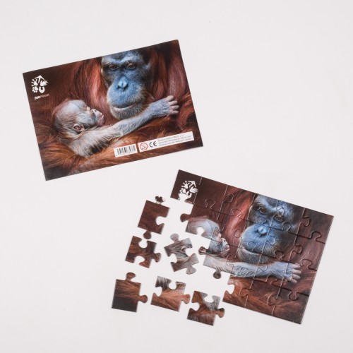 Puzzle orangutan Mawar s mládětem