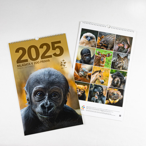 Nástěnný kalendář Zoo Praha 2025 