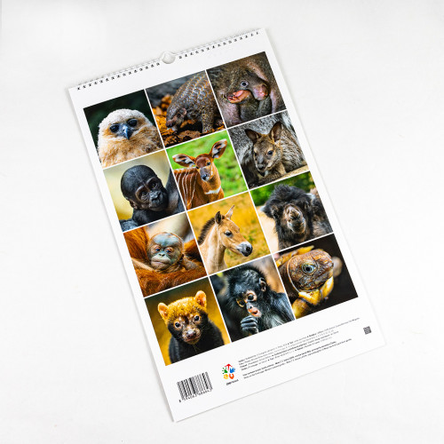 Nástěnný kalendář Zoo Praha 2025 