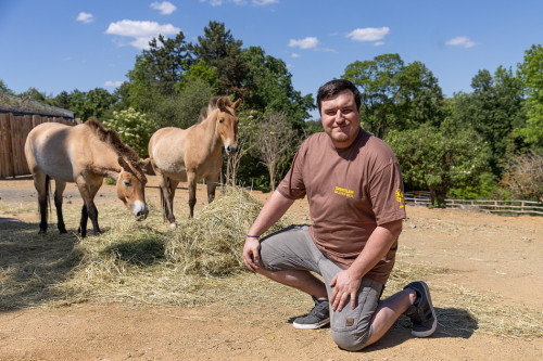 Chovatelem na jeden den u kopytníků
