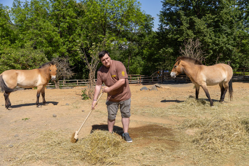 Chovatelem na jeden den u kopytníků
