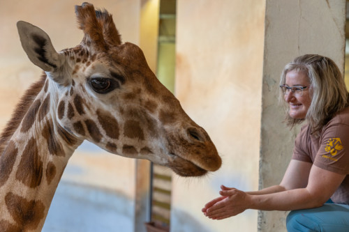 Chovatelem na jeden den v Africkém domě