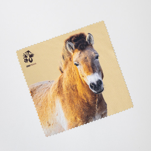 Čistící hadřík na brýle