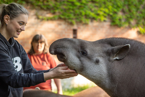 Chovatelem na jeden den u kopytníků