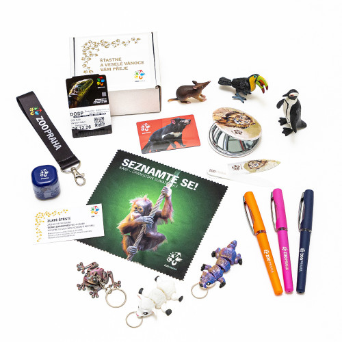 Vánoční štěstí