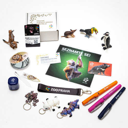 Vánoční štěstí