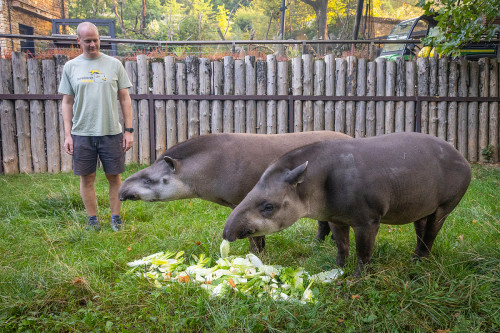 Chovatelem na jeden den u kopytníků