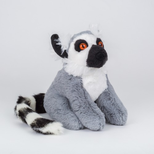 Lemur sedící – malý